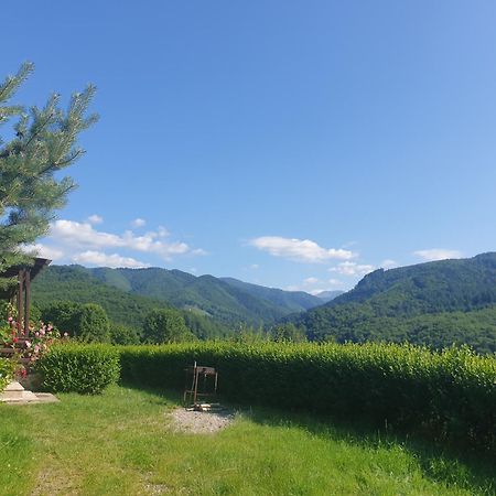 Hotel Valea Doamnei Nucşoara Exterior foto