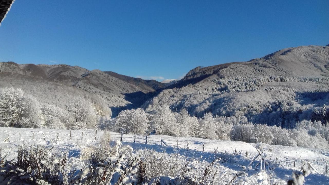 Hotel Valea Doamnei Nucşoara Exterior foto